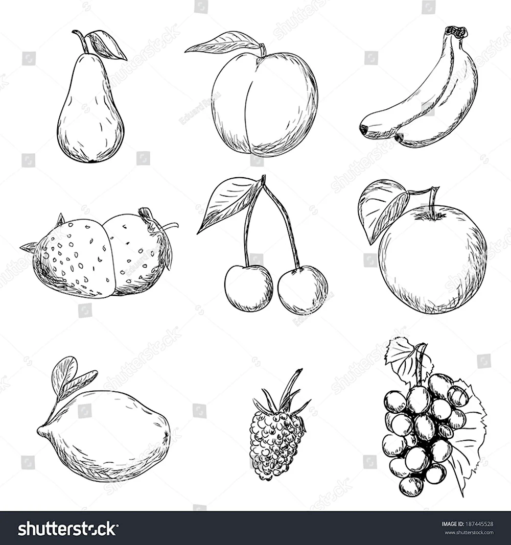 Рисование овощи и фрукты