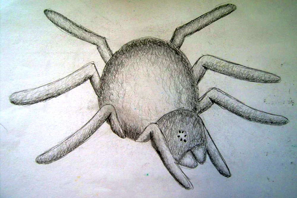Рисование пауков