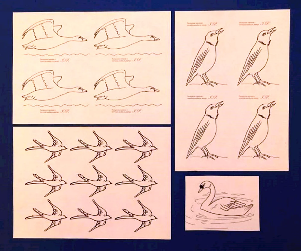 Рисование перелетные и водоплавающие птицы