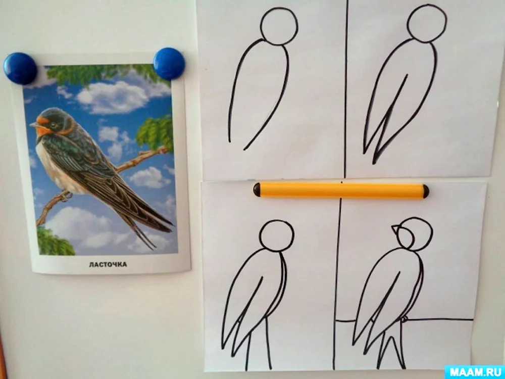 Рисование перелетные птицы старшая