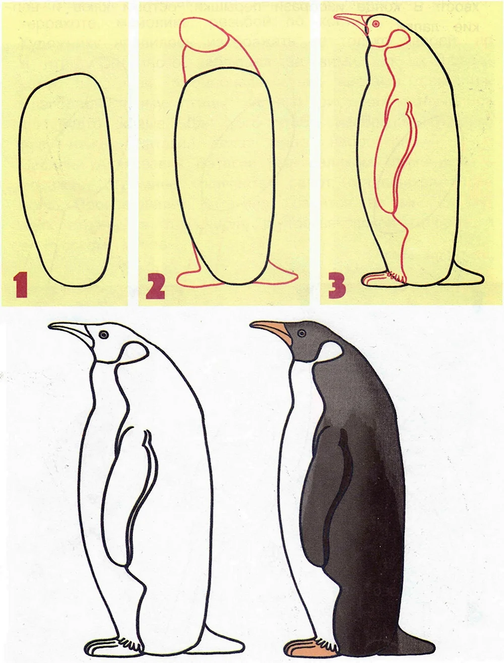 Рисование пингвина