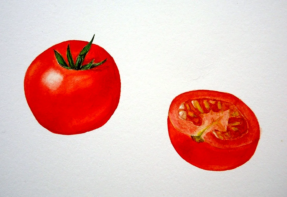 Рисование помидор