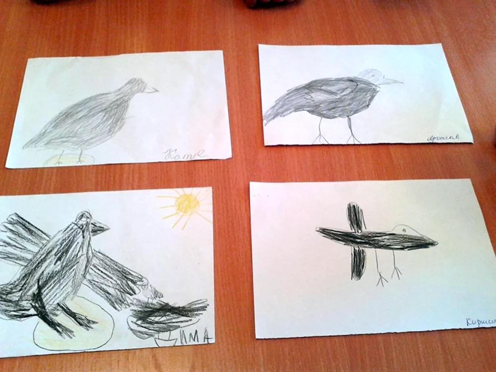 Рисование птицы в подготовительной группе