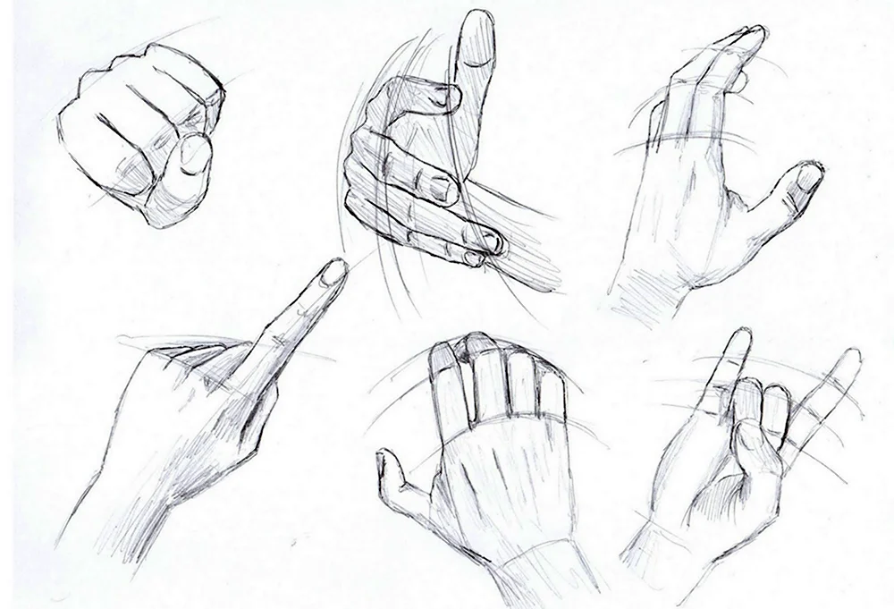 Рисование руки человека