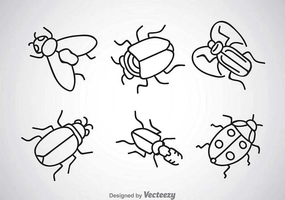 Рисование с детьми насекомые