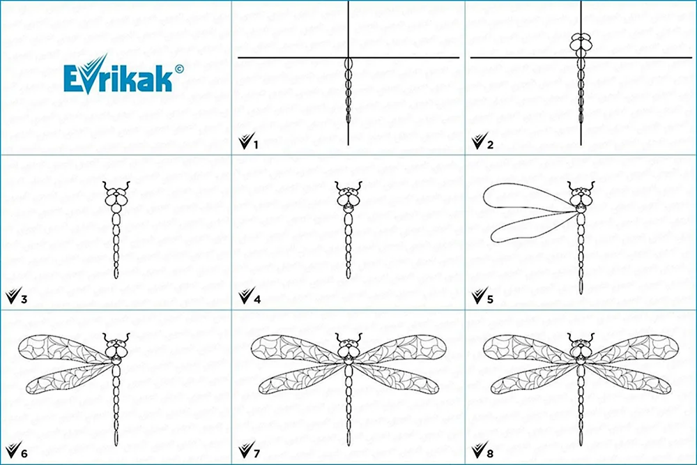 Рисование симметричных форм насекомые бабочка Стрекоза Жук по выбору