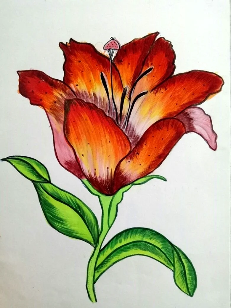 Рисование сказочного цветка