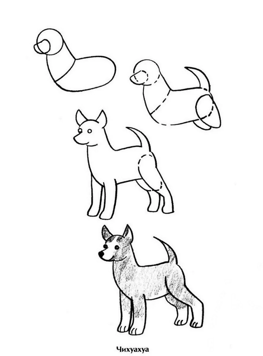 Рисование собаки