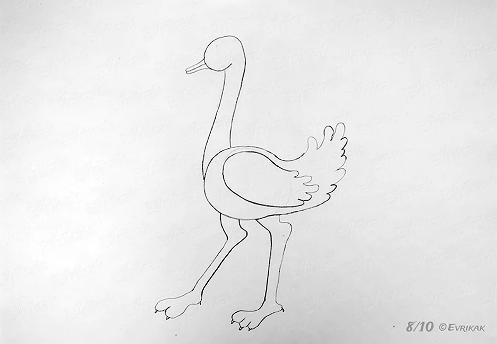 Рисование страус
