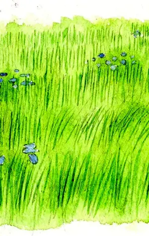 Рисование травы