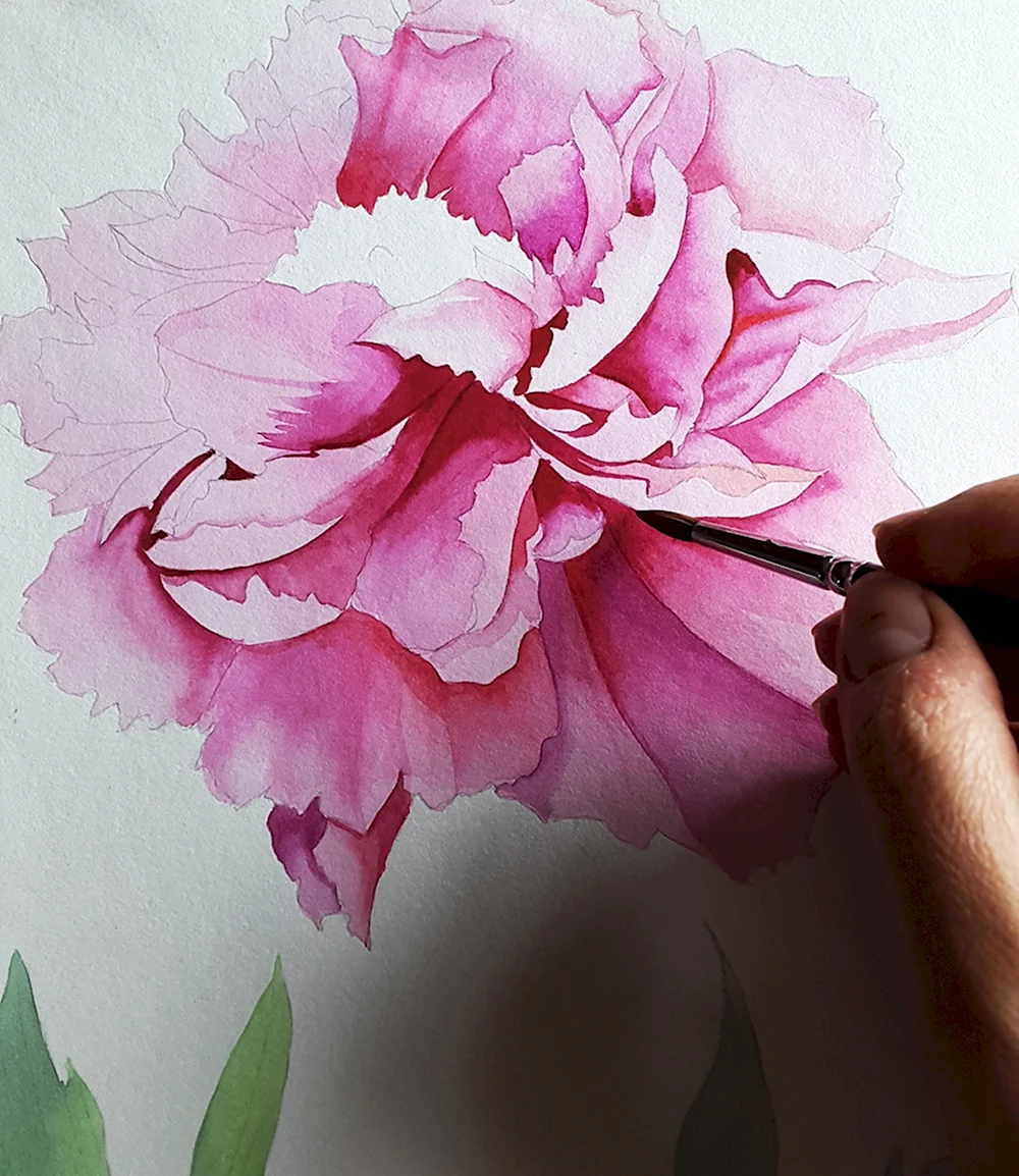 Рисование цветов акварелью