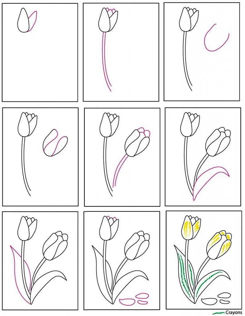 Рисование цветов для начинающих