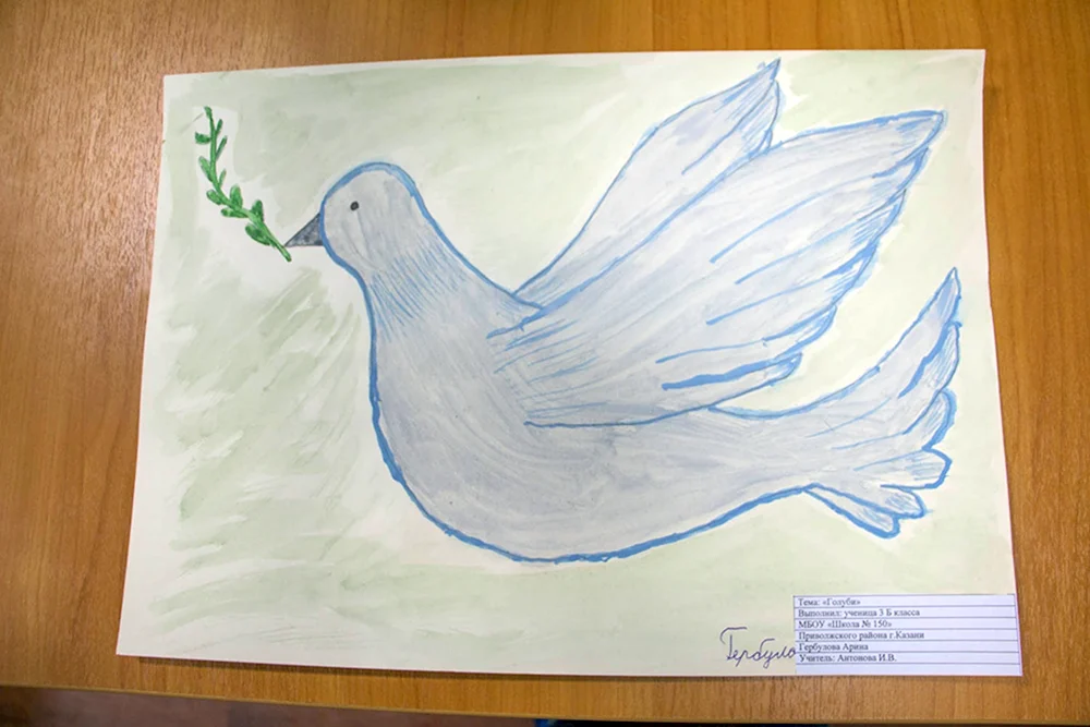 Рисование в старшей группе на тему голубь мира