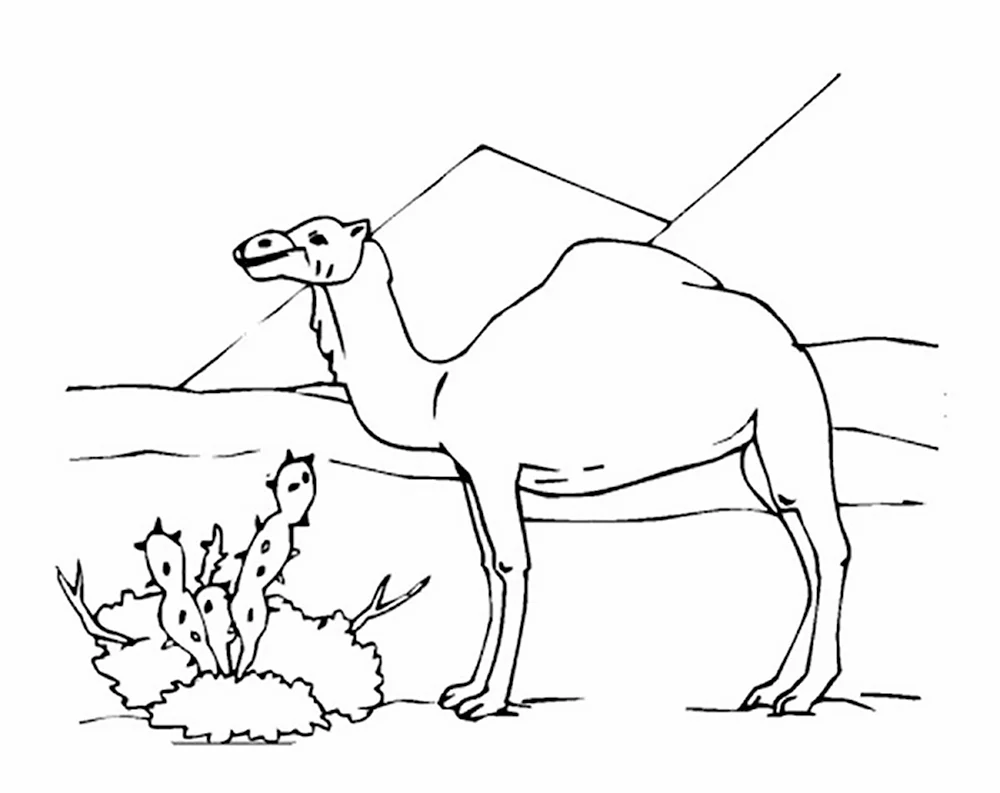 Рисование верблюда в пустыне