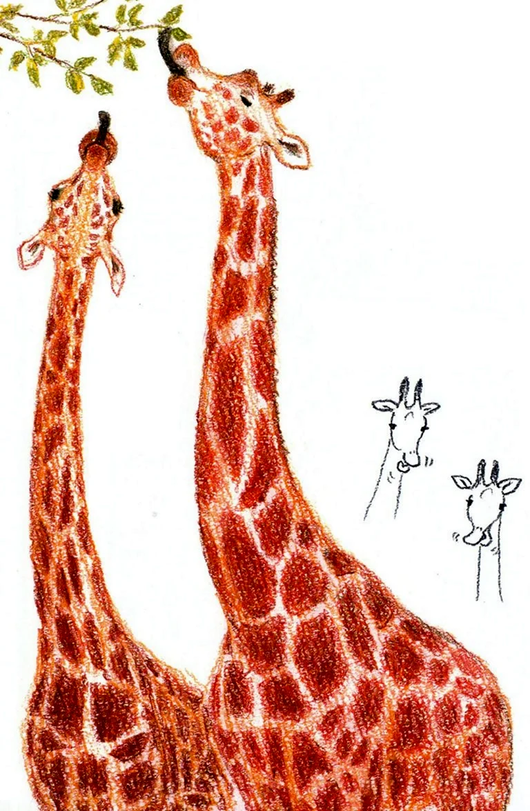 Рисование жирафа
