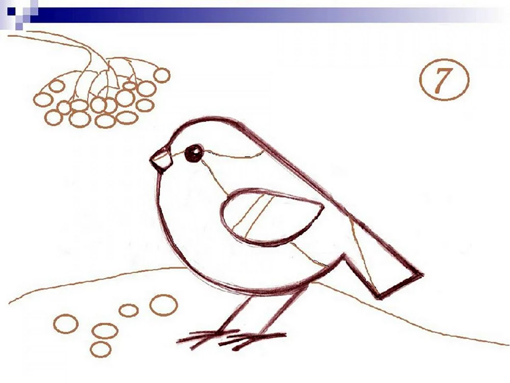 Рисование зимующие птицы