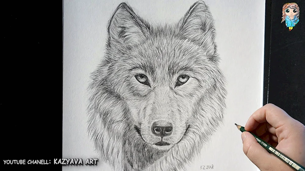Рисовать волка карандашом легко и красиво