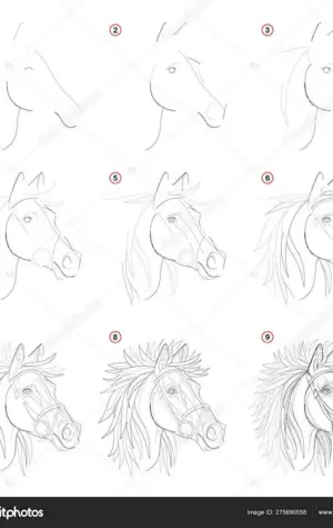 Рисуем чертеж для головы лошади
