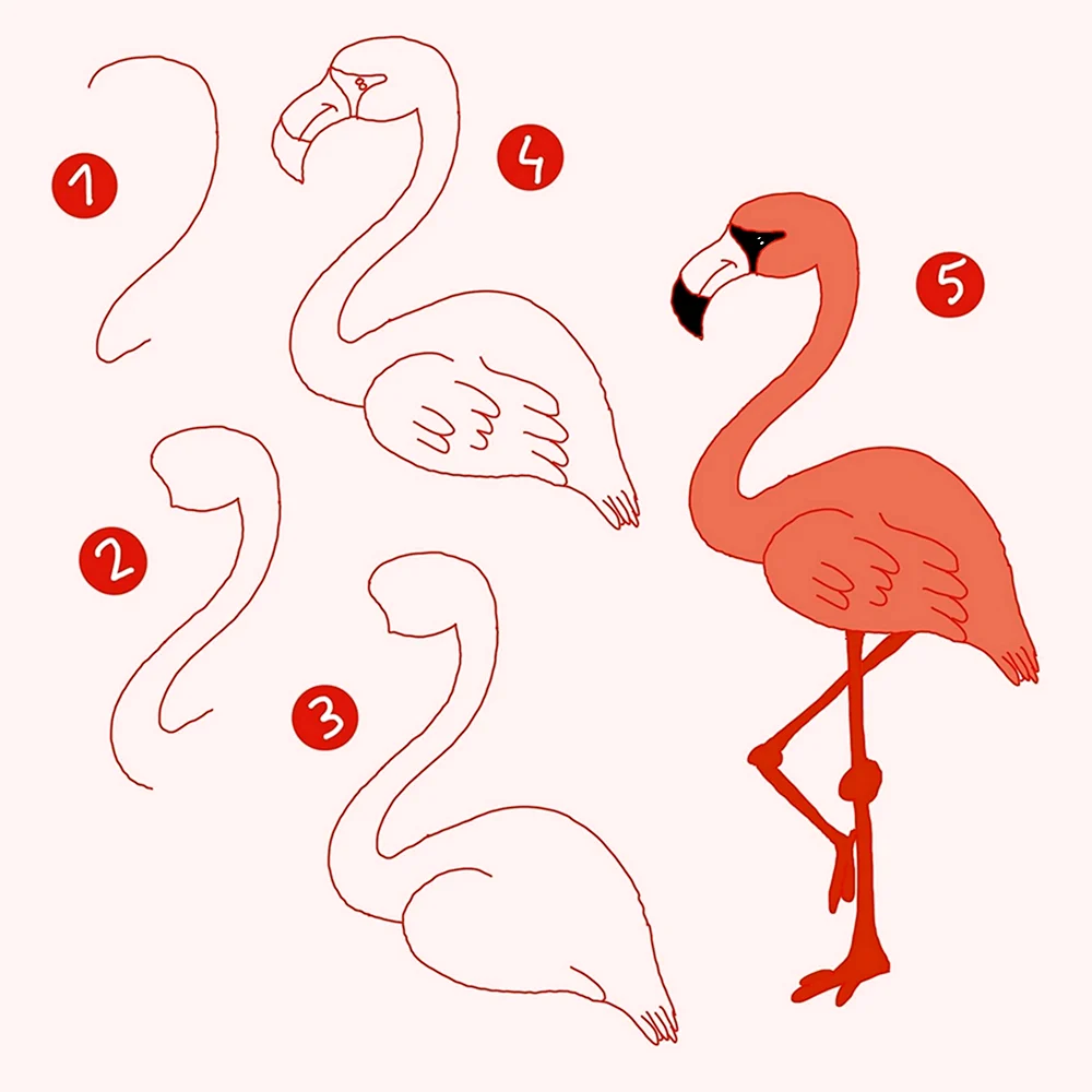 Рисуем Фламинго поэтапно