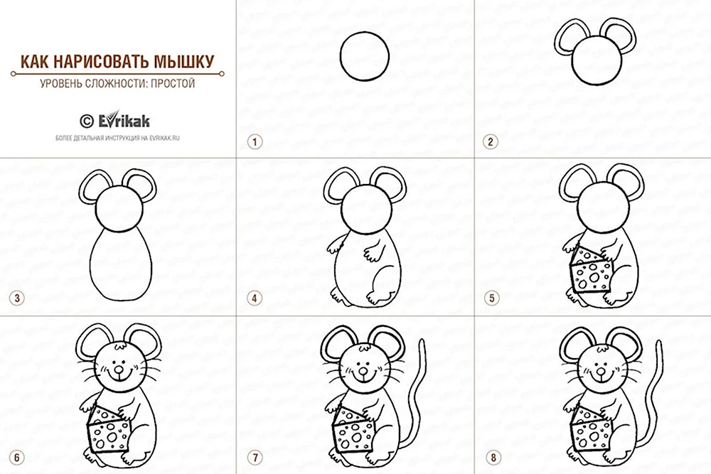 Рисуем мышку поэтапно для детей
