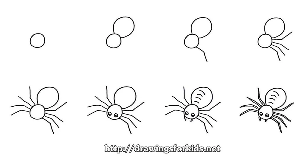 Рисуем паука поэтапно