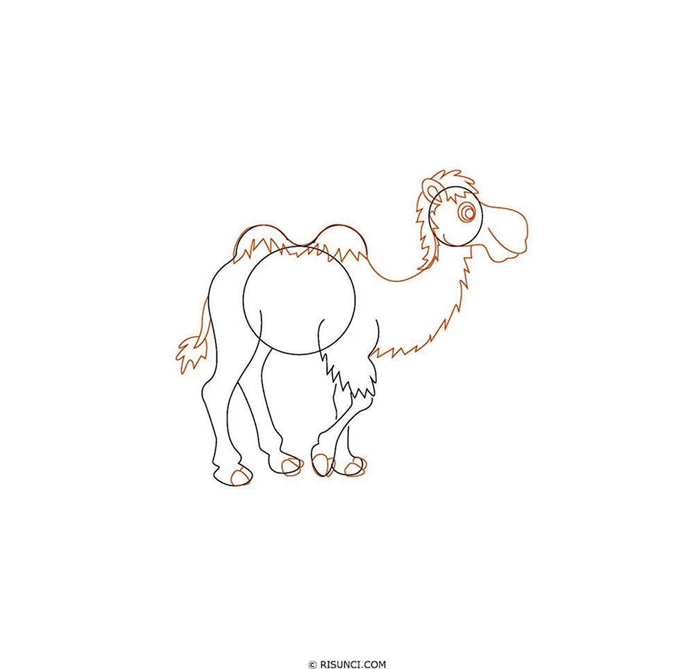 Рисуем верблюда поэтапно