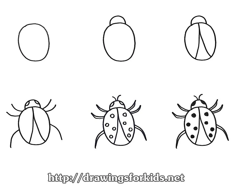 Рисуем жука поэтапно для детей