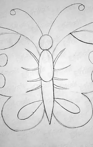 Рисунки бабочек для срисовки лёгкие для украшение стола