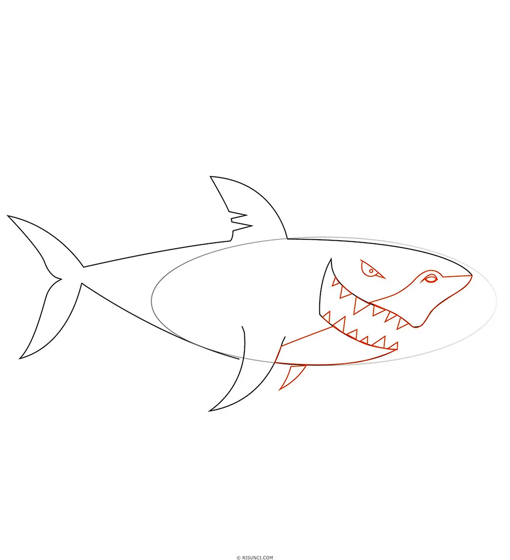 Рисунки для срисовки лёгкие акула