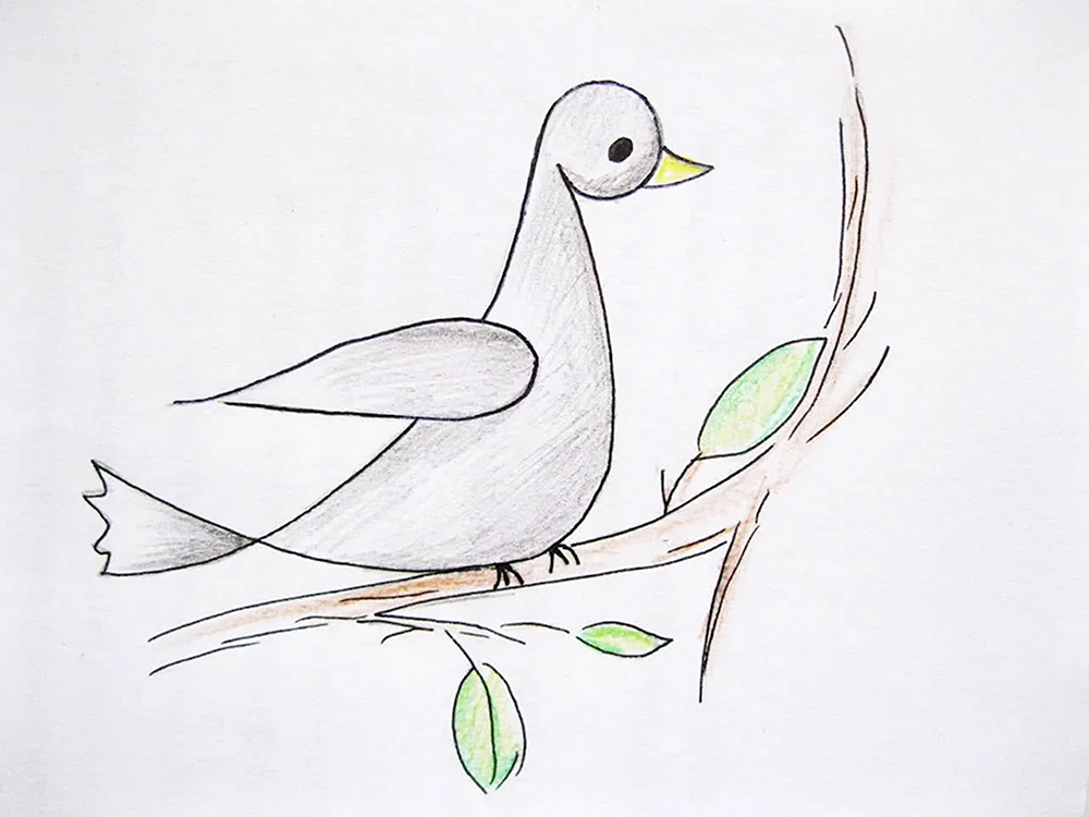 Рисунки для срисовки птицы легкие