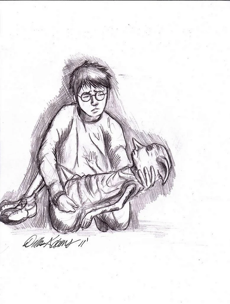 Рисунки из фильма Гарри Поттер
