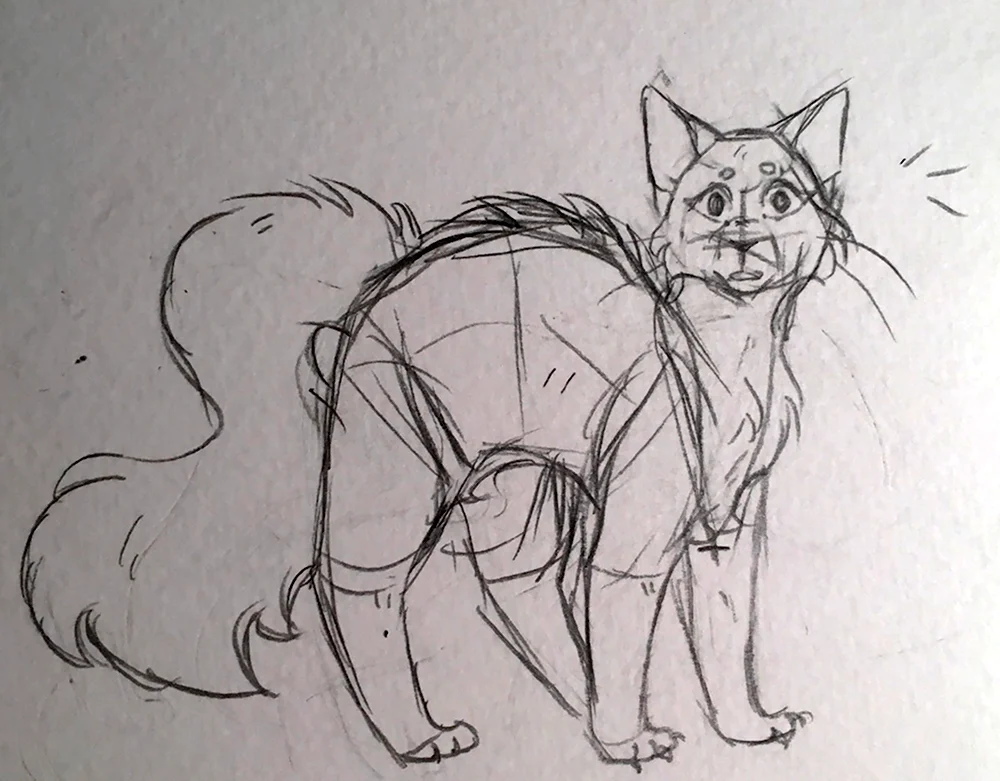 Рисунки котов воителей карандашом