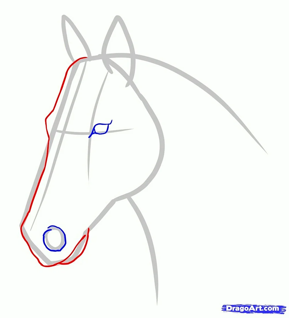 Рисунки лошади лёгкие
