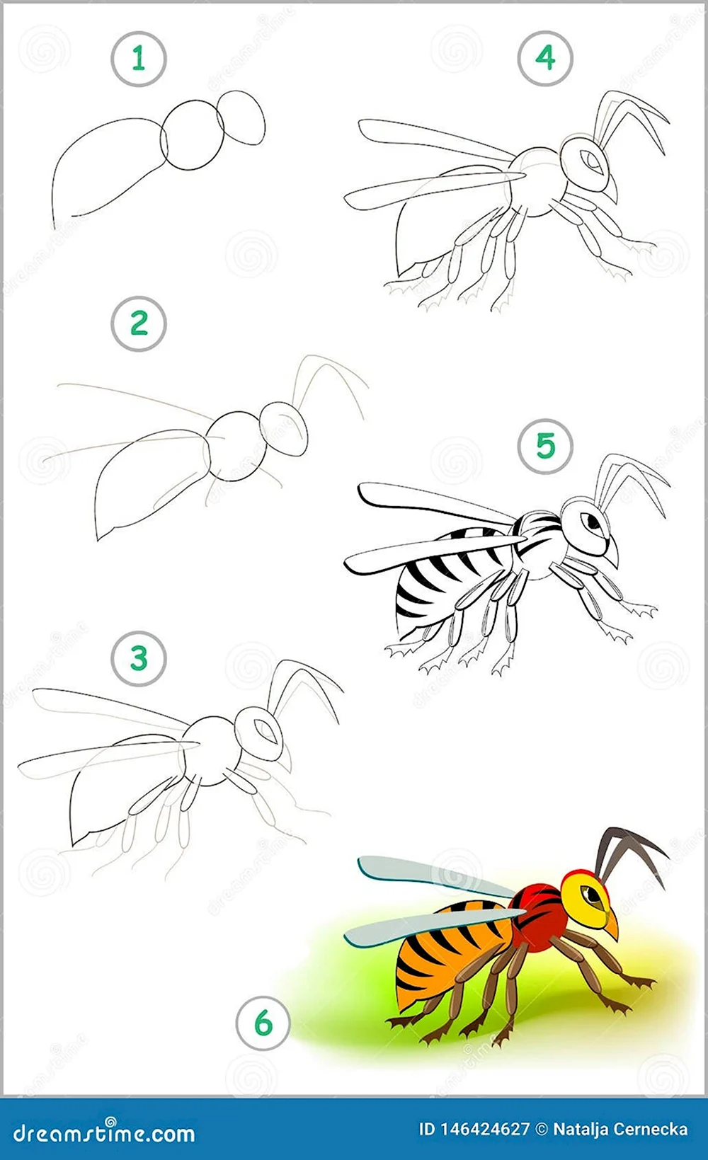 Рисунки насекомых для детей 4-5 лет