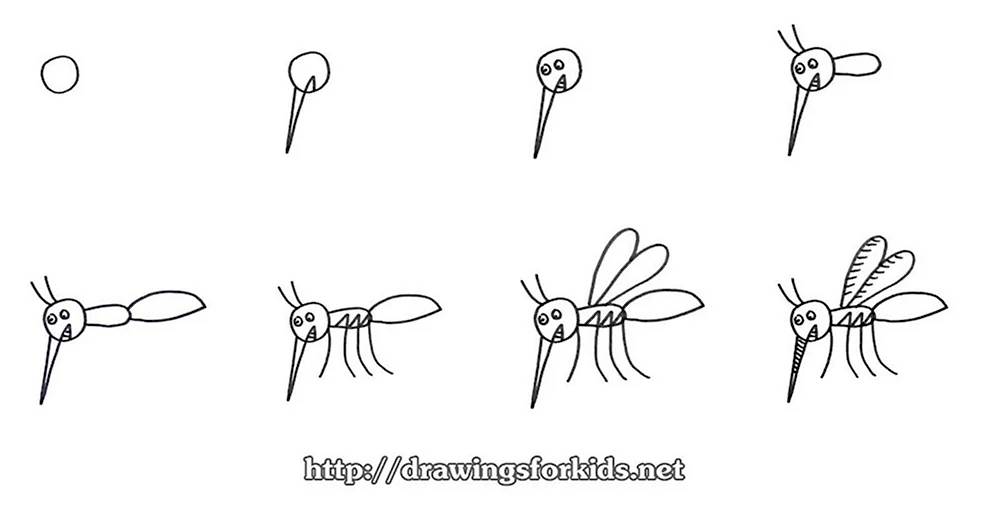Рисунки насекомых для детей простые