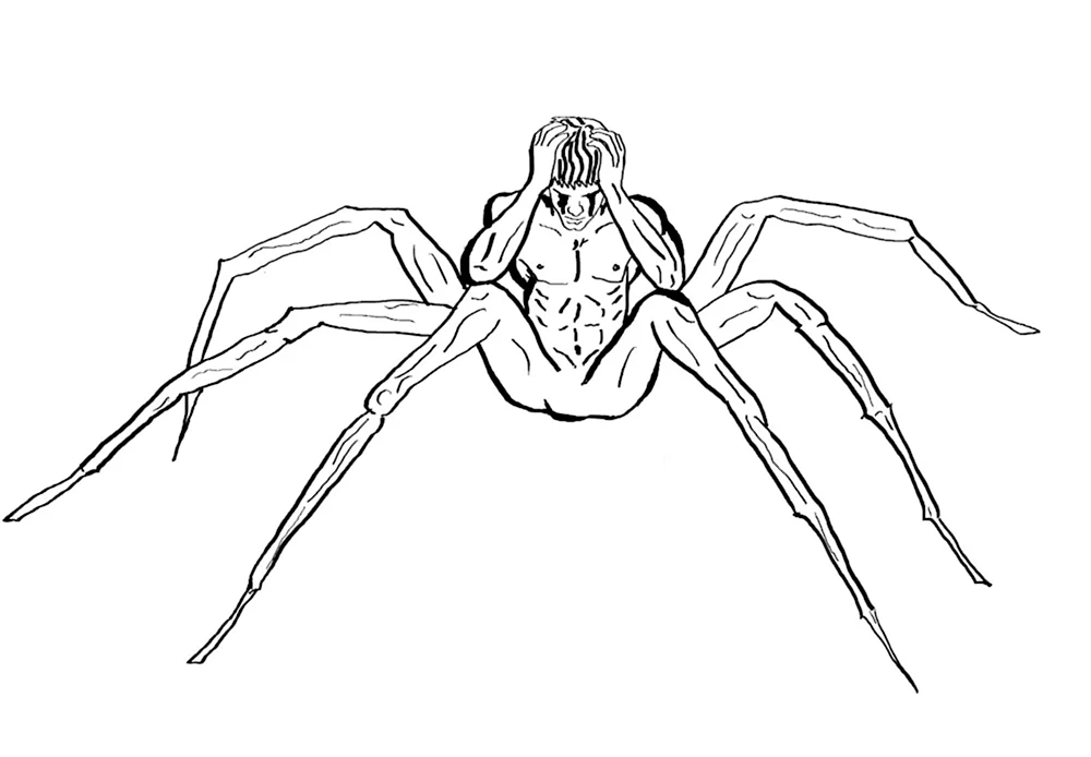 Рисунки пауков для срисовки
