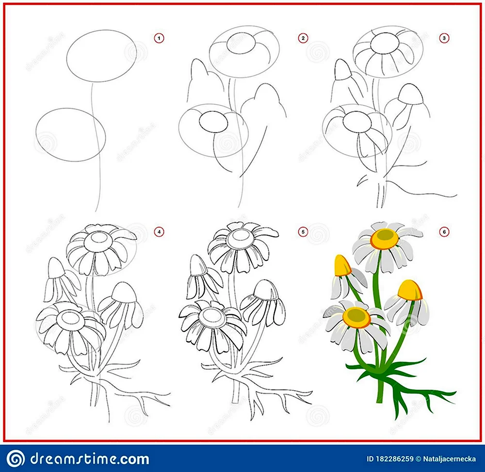 Рисунки по шагам для начинающих цветы