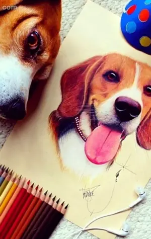 Рисунки цветными карандашами собаки