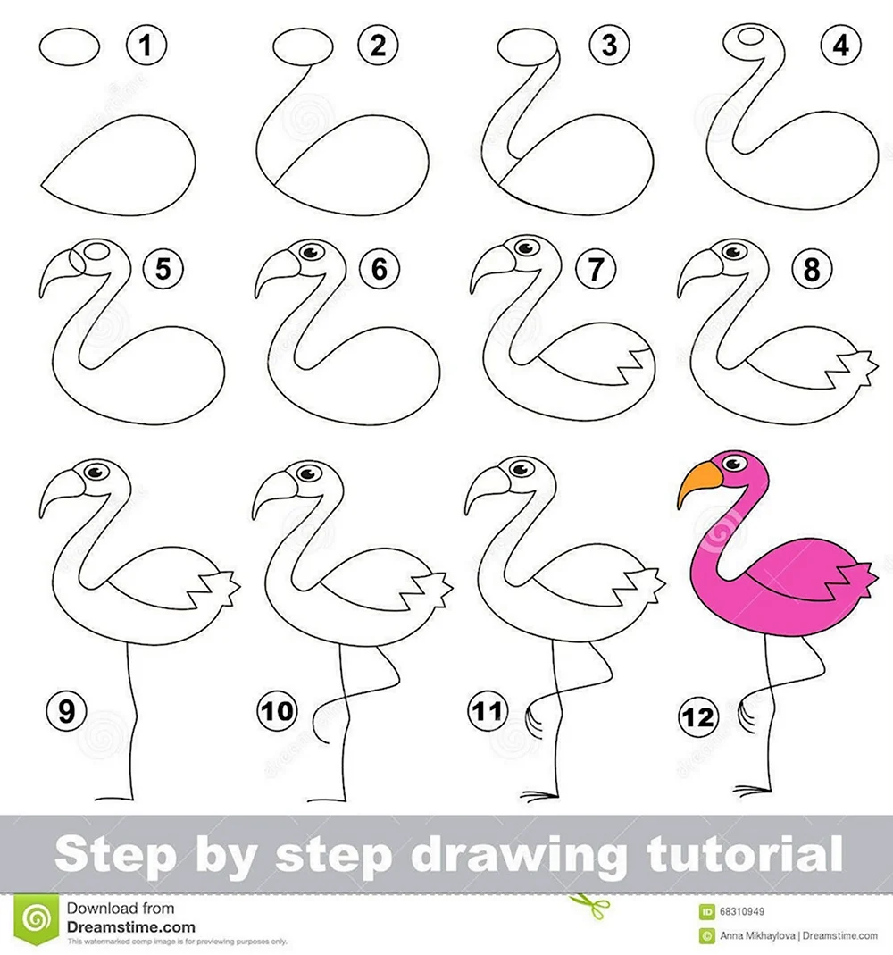 Рисунок Фламинго для детей пошагово