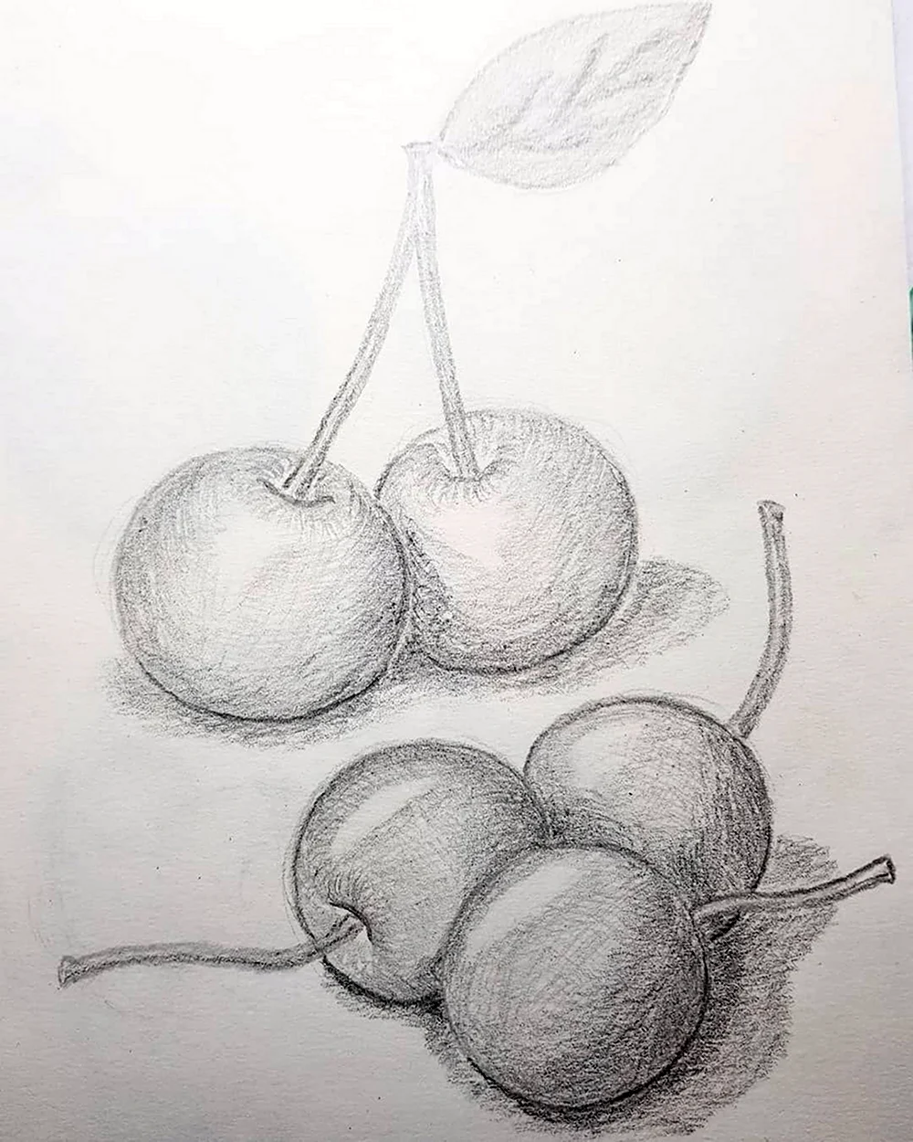 Рисунок фруктов карандашом