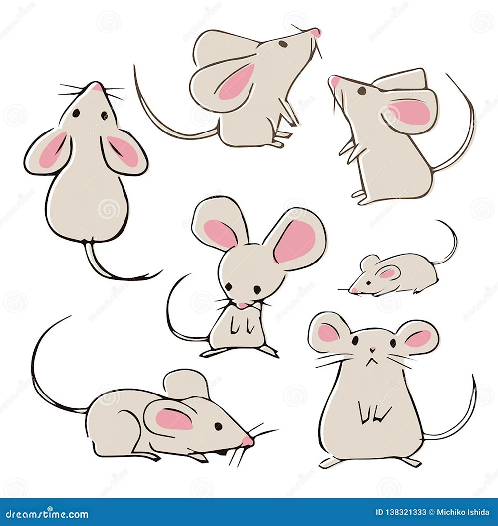 Рисунок крысы для срисовки