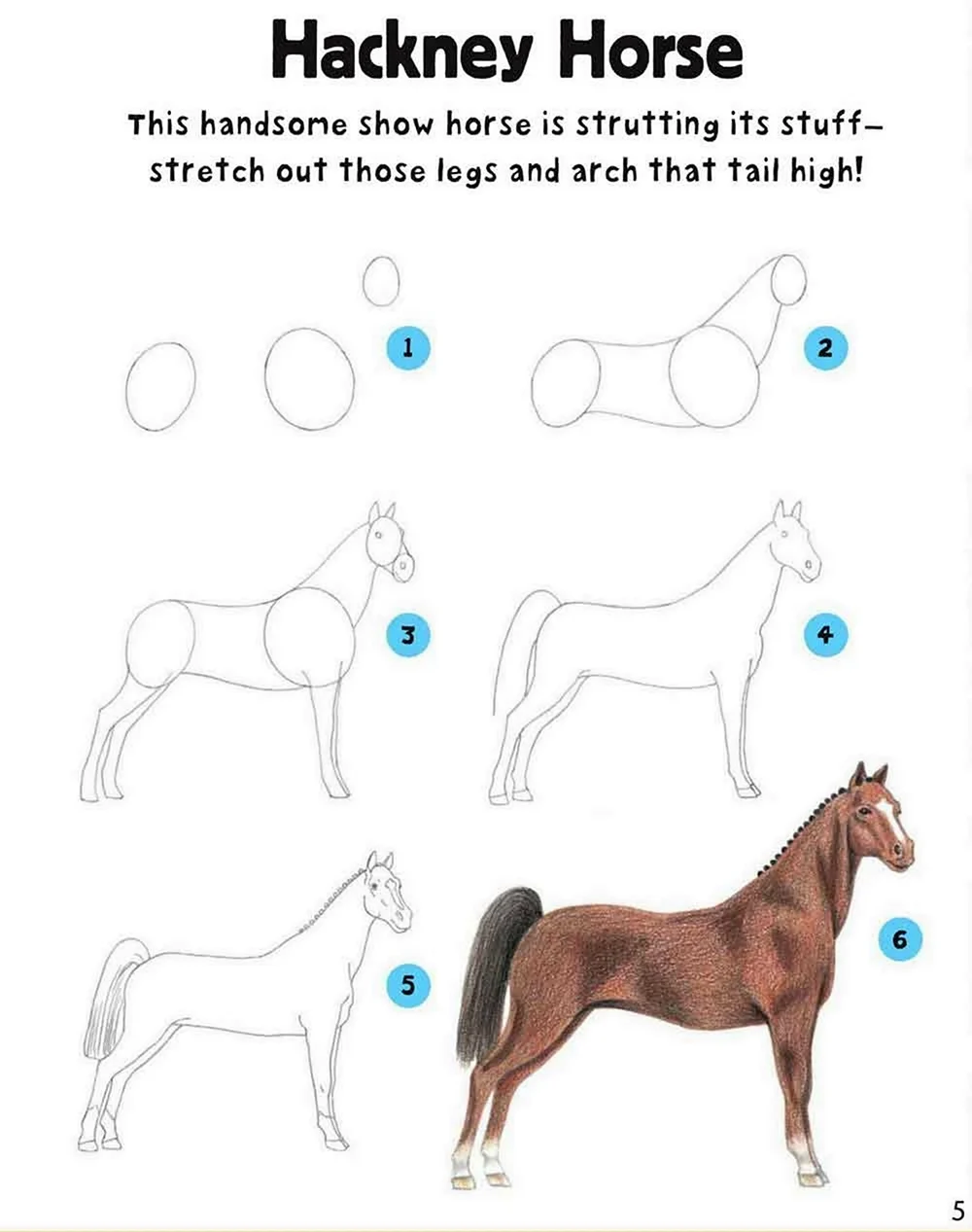 Рисунок лошади карандашом 4 этапа