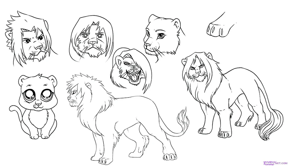 Рисунок Льва для срисовки