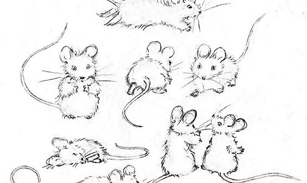 Рисунок мыши для срисовки