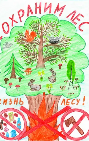 Рисунок на тему сохранение лесов