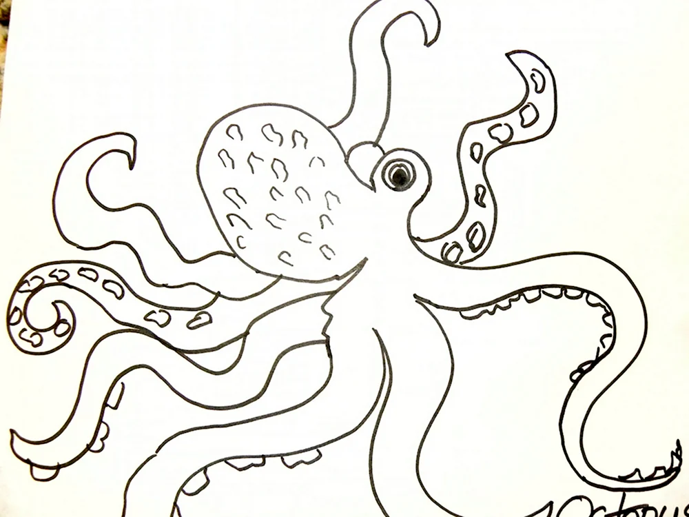 Рисунок осьминога для срисовки