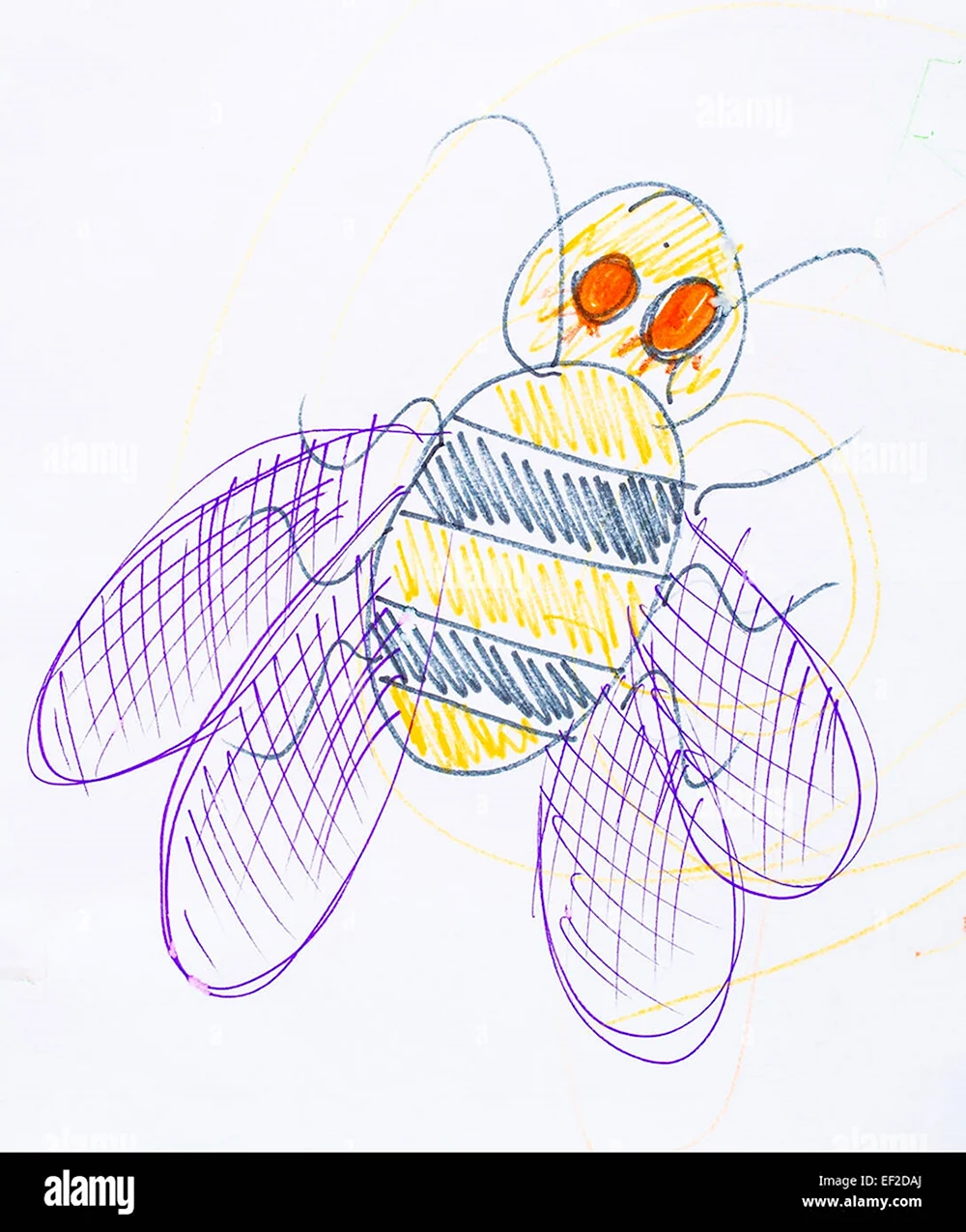 Рисунок пчелы 6 класс