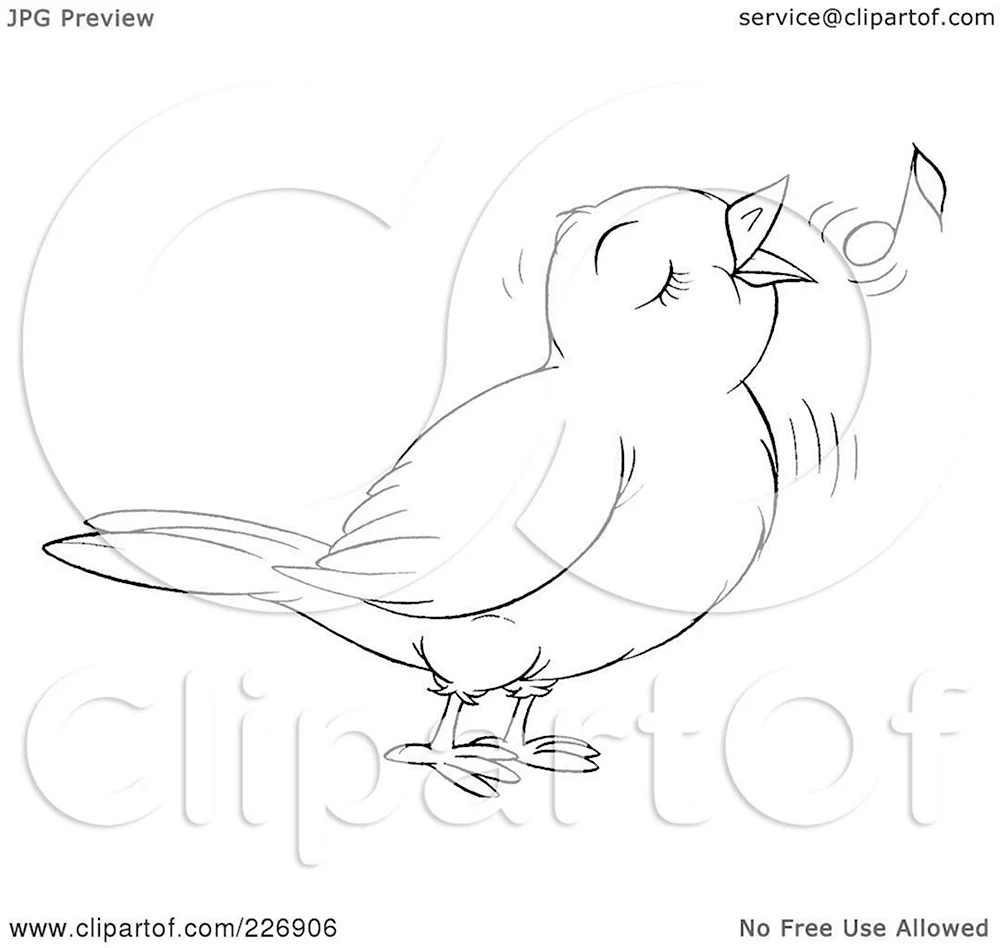 Рисунок птицы поюн карандашом