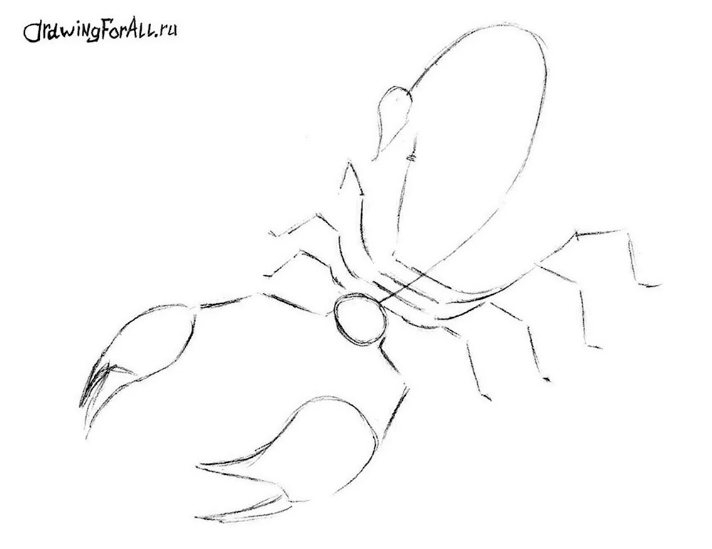 Рисунок скорпиона пошагово