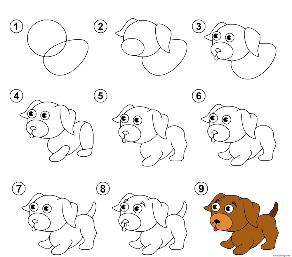 Рисунок собаки для детей по этапно